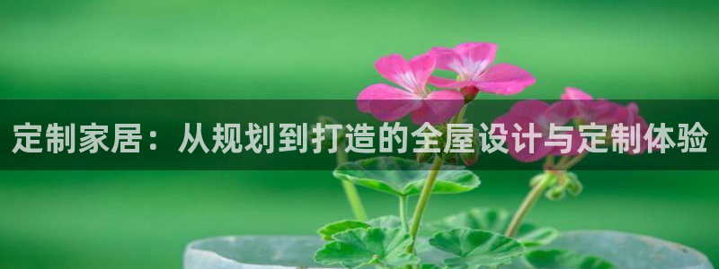 bb电子哪个平台好啊