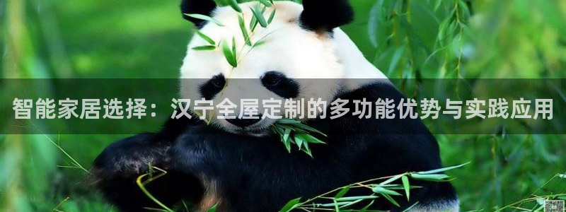 bb电子为什么总赢不了