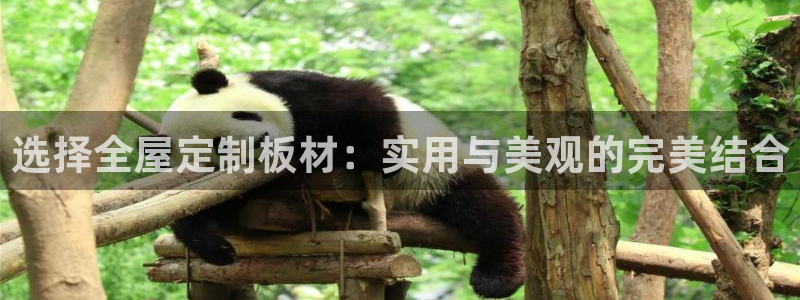 bb电子最简单设置方法