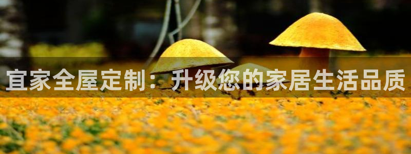 BB电子游戏钱得钱