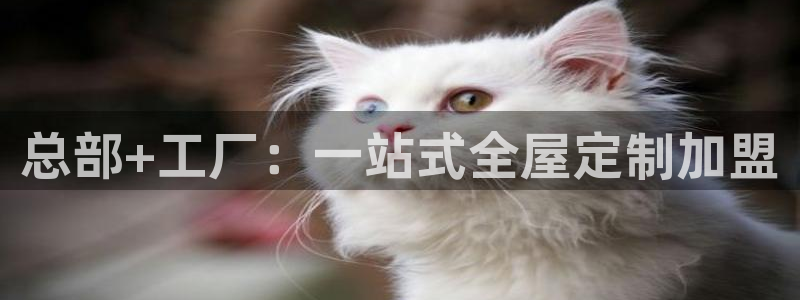 BB电子连环夺宝