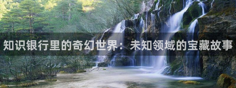 番薯小说免费版官网网址