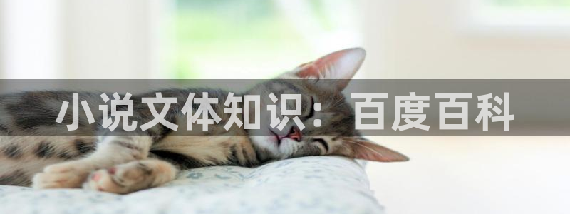 番薯小说在线阅读