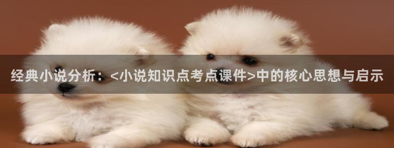 下载番薯小说