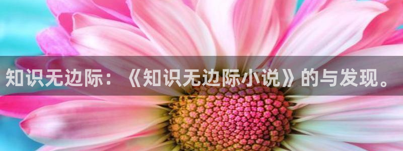 番薯免费小说