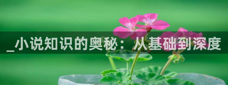番薯小说阅读